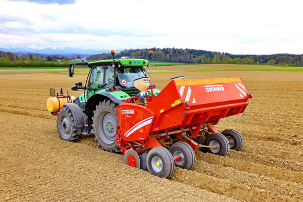 Lorema kartoffeln setzen 04c